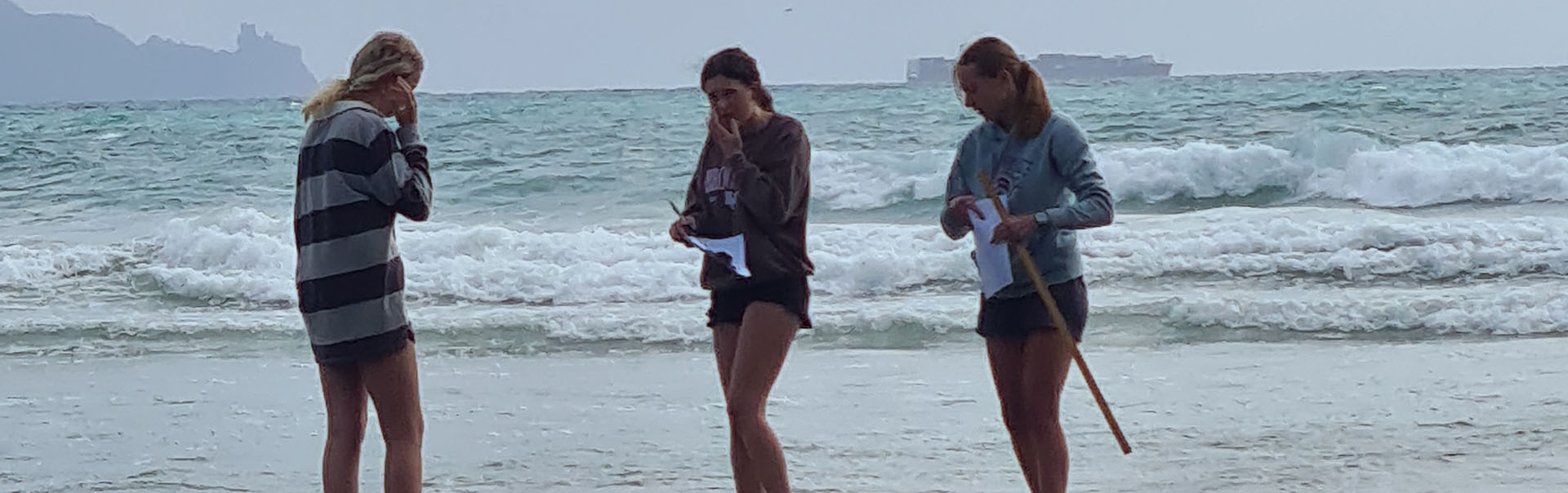 Level 2 Biology Waipu Rocky Shore study